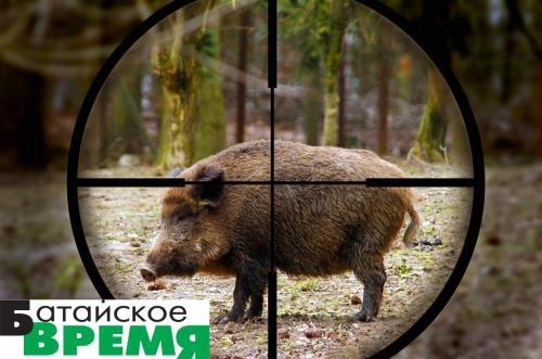 Фото lkrus.com Фото lkrus.com