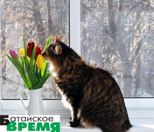 multiurok.ru multiurok.ru