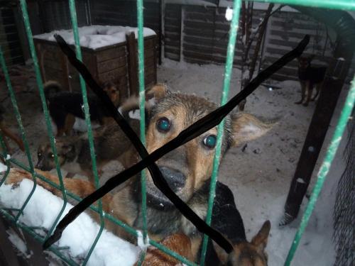 Фото ОК л/с Э. Хапаловой