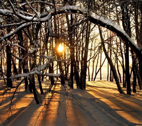 Фото yandex.ru Фото yandex.ru