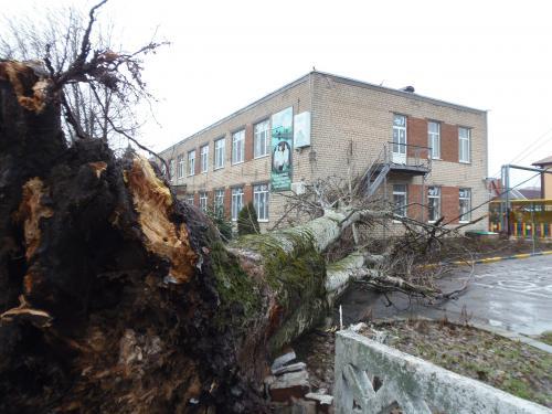 Фото БВ Фото БВ