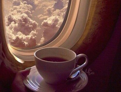 Фото ВК/Необычный гороскоп