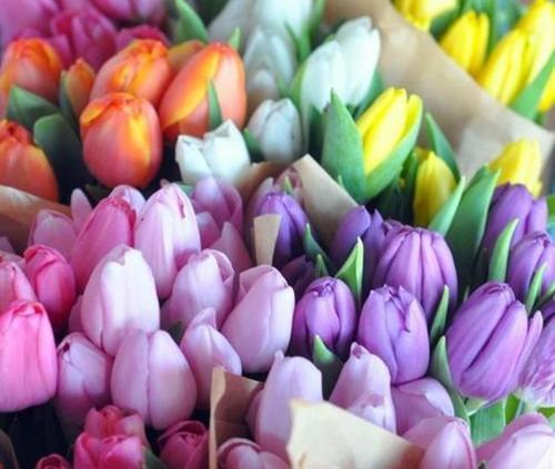 Фото ВК/Необычный гороскоп Фото ВК/Необычный гороскоп