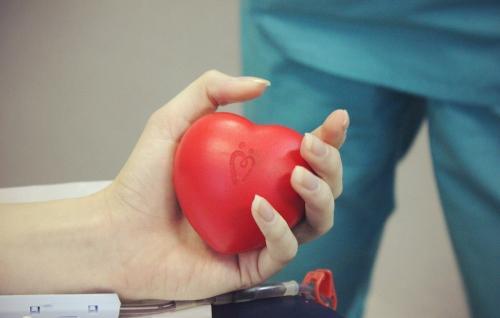 Фото fonddonorov.ru Фото fonddonorov.ru