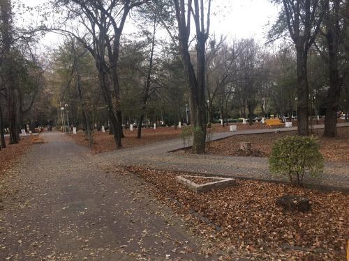 Фото БВ. Фото БВ.