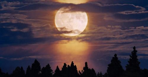 Фото moonligt3.ru Фото moonligt3.ru