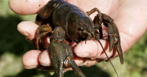 Фото Dkgund.ru Фото Dkgund.ru