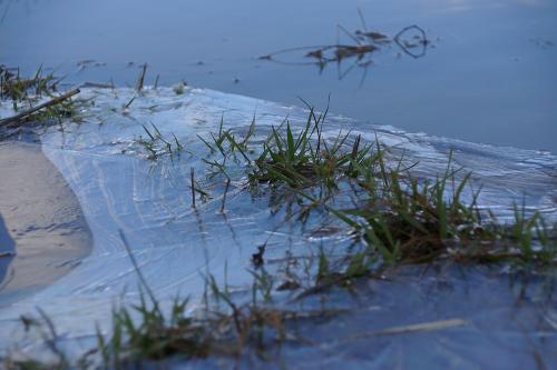 Фото Рашевский А.