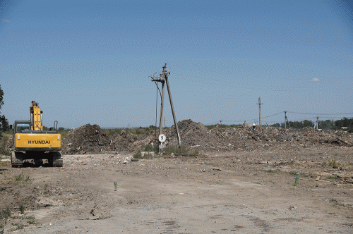 Фото А. Рашевского.