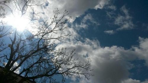 Фото darakchi.uz Фото darakchi.uz