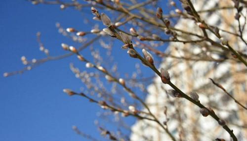 Фото goodfon.ru Фото goodfon.ru