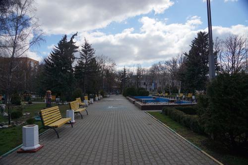 Фото Рашевский А.