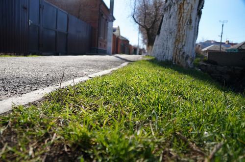 Фото Рашевский А. Фото Рашевский А.