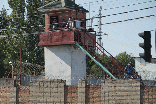 Фото А. Рашевского