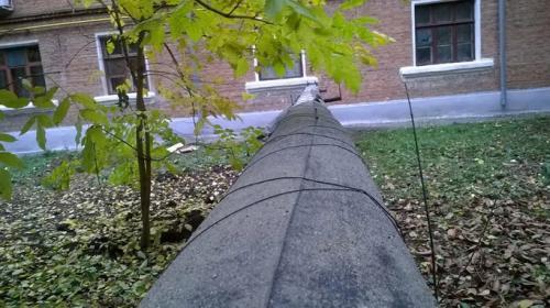 Фото Администрации 