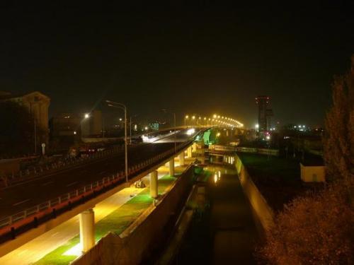 Мост в створе Сиверса красиво смотрится ночью. Фото http://www.temernik.ru Мост в створе Сиверса красиво смотрится ночью. Фото http://www.temernik.ru