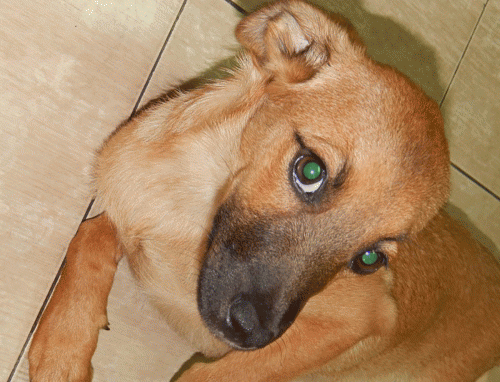 Фото автора.