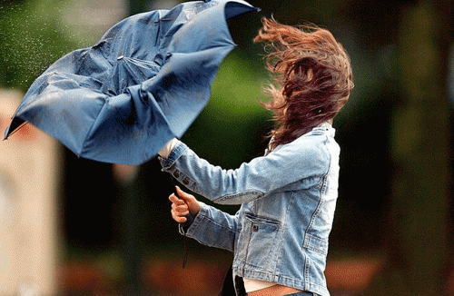 Фото u4.s.progorod11.ru Фото u4.s.progorod11.ru