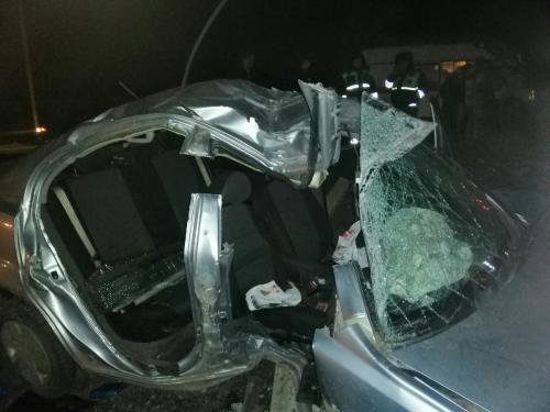 Фото читателей