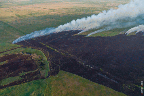 Фото ВКонтакте/Ростов Главный