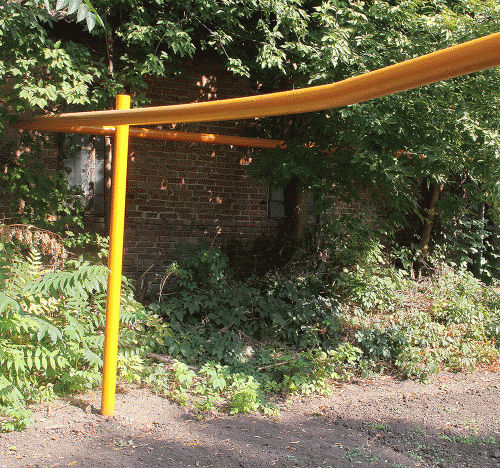 Фото автора. Фото автора.