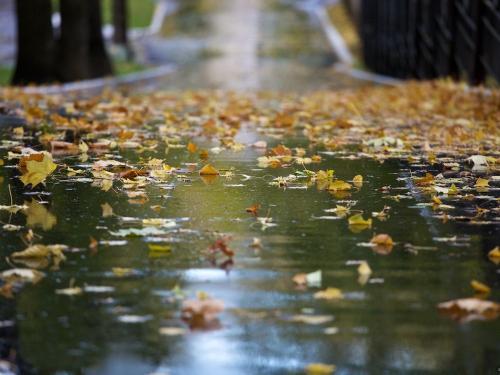 Фото orenburzhie.ru