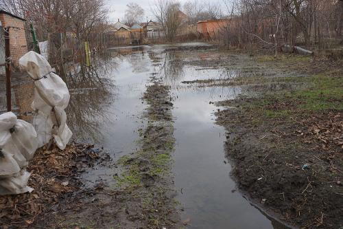 Фото Рашевский А.