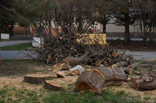 Фото Рашевский А. Фото Рашевский А.