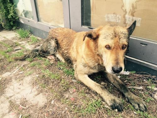 Фото «Эгида»