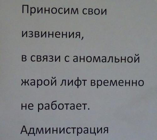 Фото А. Фоменко