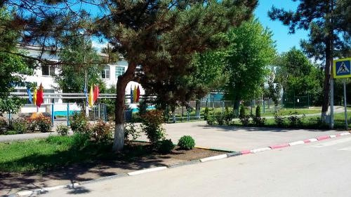 Фото читателей БВ.