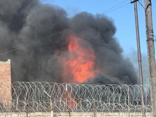 Фото М. Шарина.