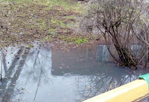 Фото читателей БВ