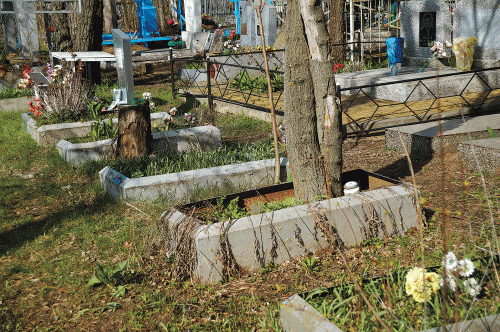 Фото А. Рашевского Фото А. Рашевского