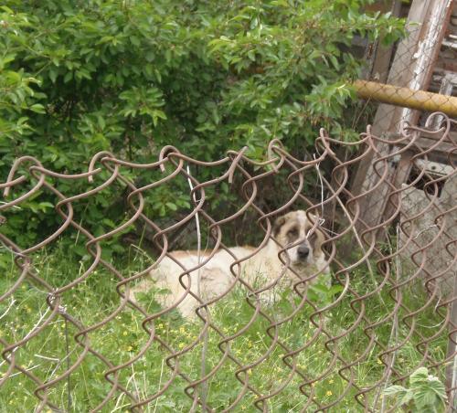 Фото БВ Фото БВ