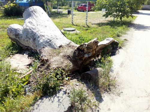 Фото БВ Фото БВ