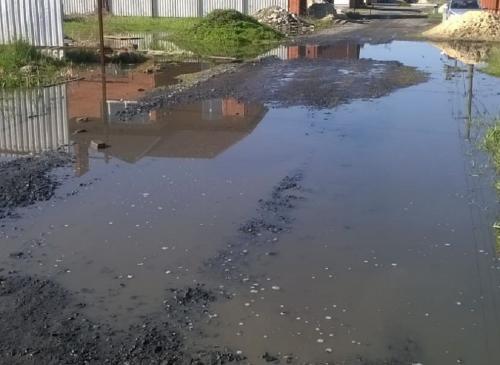 Фото читателей БВ