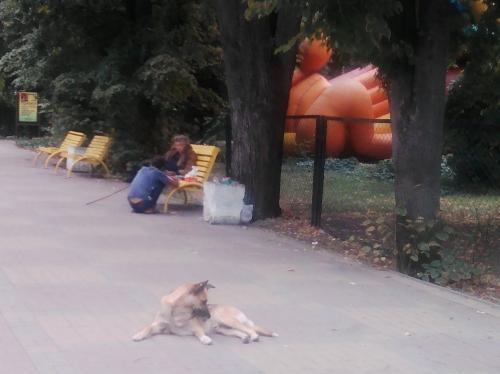 Фото БВ Фото БВ