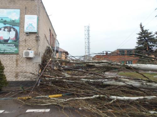 Фото БВ Фото БВ