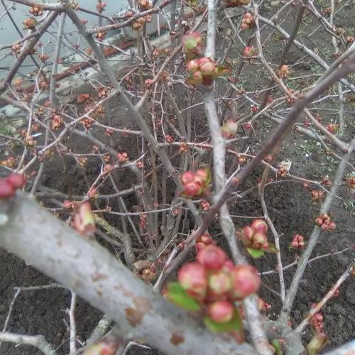 Фото Н. Узбякова.