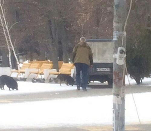 Фото читателей БВ. Фото читателей БВ.