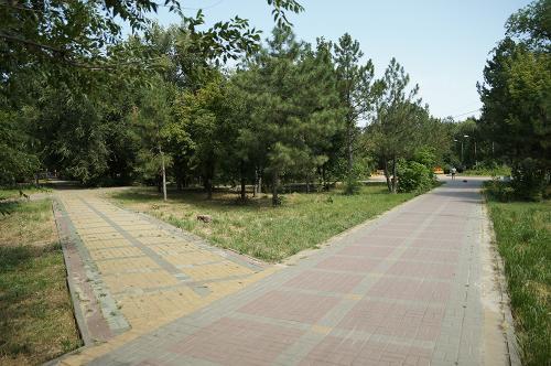 Фото из архива БВ Рашевского А.