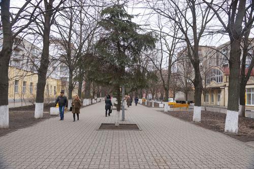 Фото Рашевский А. Фото Рашевский А.