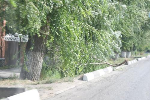 Ветки, упавшие на улице Куйбышева, убрали практически сразу. Ветки, упавшие на улице Куйбышева, убрали практически сразу.