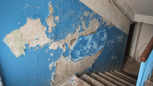 Фото Александра Кондратьева Фото Александра Кондратьева