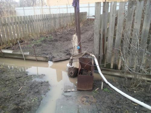 Фото автора Фото автора