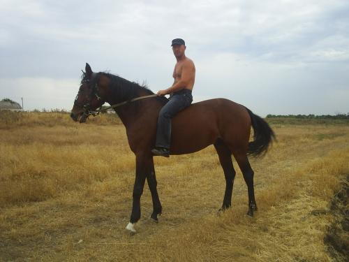 Николай Литвинов