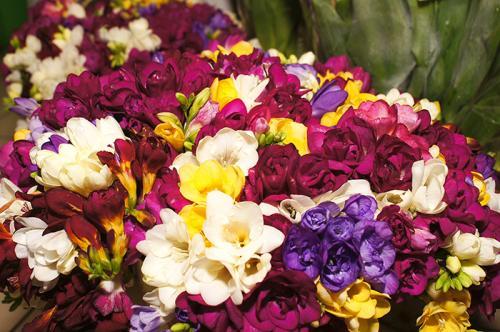 Фото из архива БВ. Фото из архива БВ.