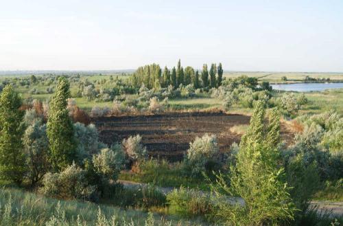 Сгоревший автомобиль был найден в районе Соленого озера. Фото Александра Кондратьева.