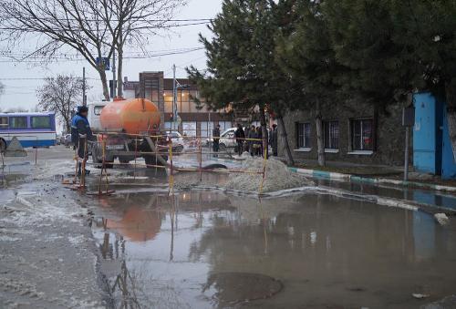 Фото К. Фесенко.